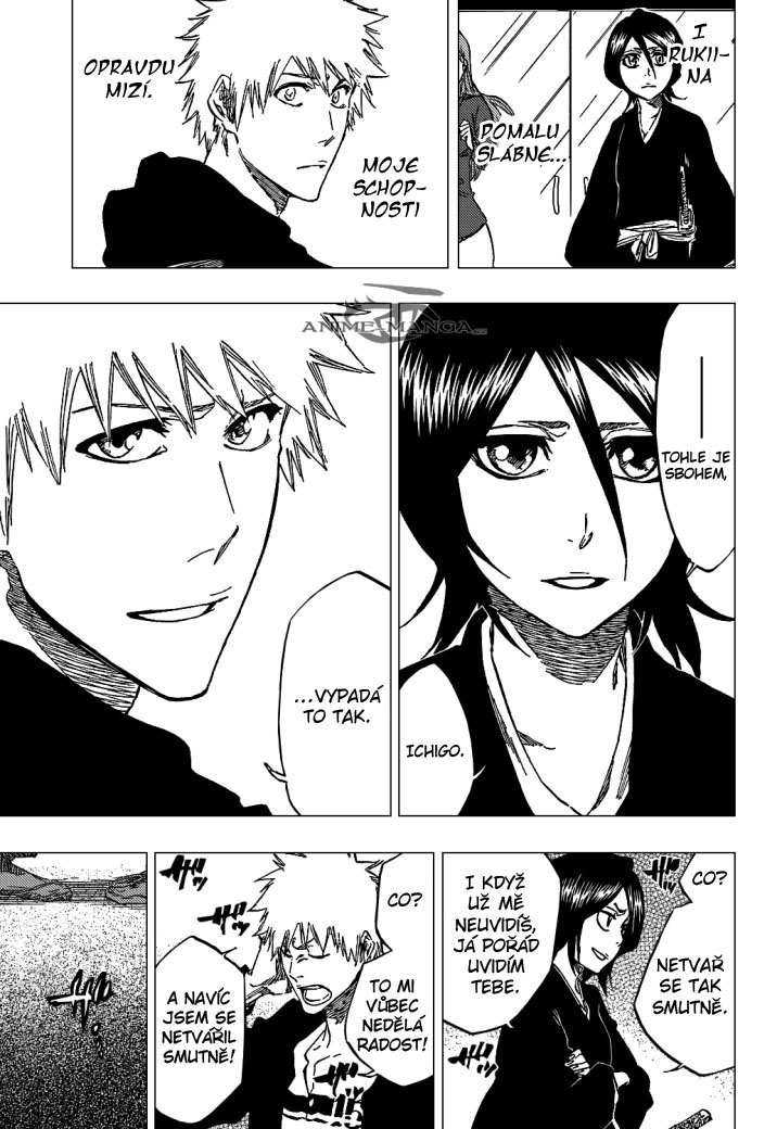 bleach-ch423-17 kopie.jpg